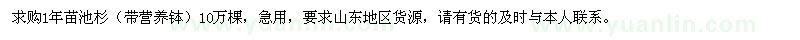 求购1年苗池杉10万棵