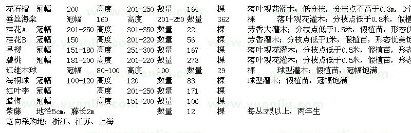 求购花石榴、垂丝海棠、桂花、早樱等苗木