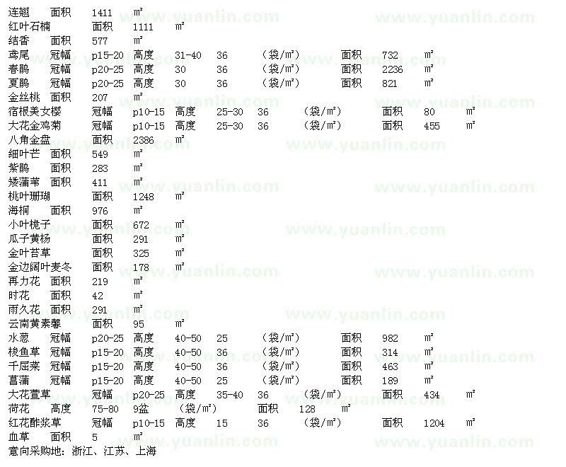 求购连翘、红叶石楠、春鹃、八角金盘等苗木