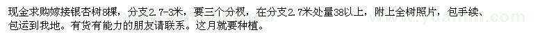 求购嫁接银杏树8棵