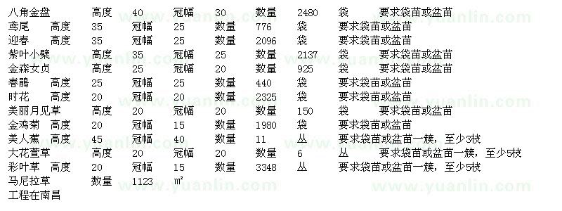 求购八角金盘、鸢尾、紫叶小檗、金森女贞等苗木