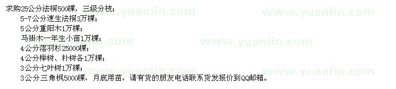 求购法桐、速生法桐、重阳木、马褂木、落羽杉、榉树、朴树、七叶树、三角枫