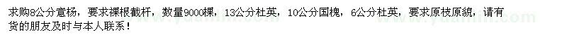 求购意杨、杜英、国槐、紫叶李