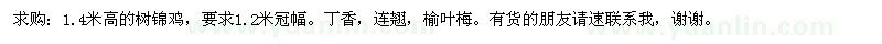 求购树锦鸡、丁香、连翘、榆叶梅