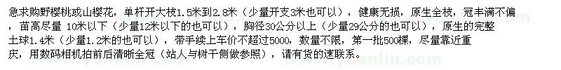 求购胸径30公分以上野樱桃或山樱花