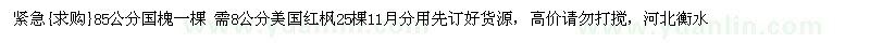 求购85公分国槐一棵 需8公分美国红枫25棵