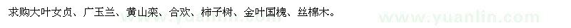 求购大叶女贞、广玉兰、黄山栾、合欢、柿子树、金叶国槐、丝棉木