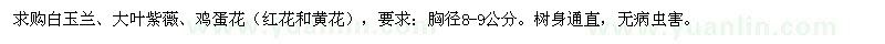 求购白玉兰、大叶紫薇、鸡蛋花