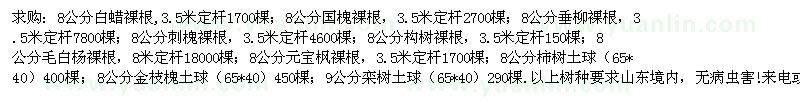 求购白蜡 国槐 垂柳 刺槐 毛白杨 元宝枫 金枝槐 柿子树 栾树等（