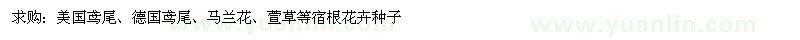 求购美国鸢尾、德国鸢尾、马兰花、萱草等宿根花卉种子