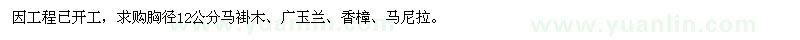 求购马褂木、广玉兰、香樟、马尼拉 