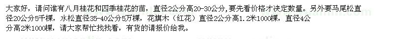 求购八月桂花和四季桂花的苗、马尾松、水松、花旗木（红花）