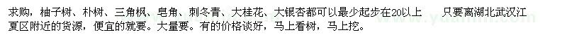 求购柚子树、朴树、三角枫、皂角、刺冬青、大桂花、大银杏