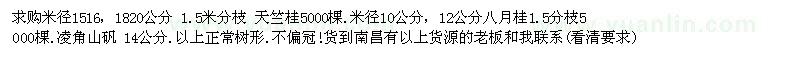 求购天竺桂、八月桂和凌角山矾