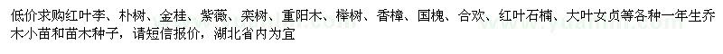 求购红叶李、朴树、金桂、紫薇、栾树等