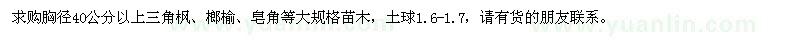 求购胸径40公分以上三角枫、榔榆、皂角等