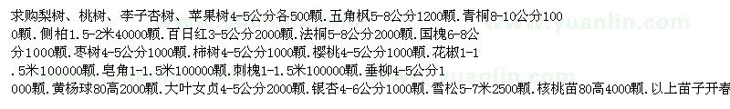 求购梨树、桃树、李子杏树、苹果树、五角枫、青桐、侧柏、百日红、法桐、国槐、枣树、柿树、樱桃等 