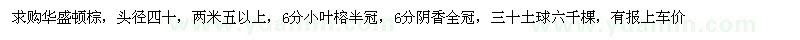 求购华盛顿棕、小叶榕、阴香