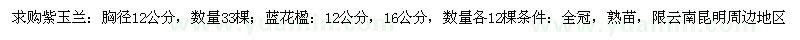 求购紫玉兰、蓝花楹 