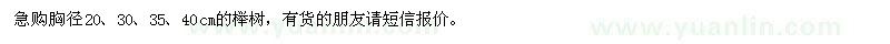 求购急胸径20,30,35,40cm的榉树