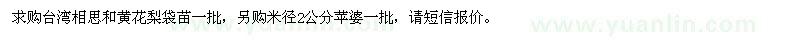 求购台湾相思、黄花梨袋苗、苹婆 