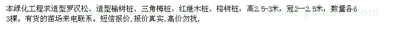 求购造型罗汉松、榆树桩、三角梅桩、红继木桩 