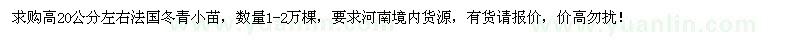 求购高20公分左右法国冬青小苗1-2万棵