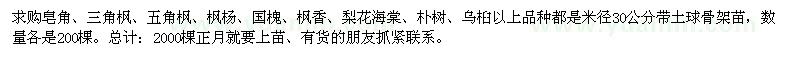 求购皂角、三角枫、五角枫、枫杨、国槐、枫香、梨花海棠、朴树、乌桕