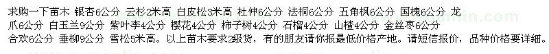 求购银杏、云杉、白皮松、杜仲、法桐等工程苗木