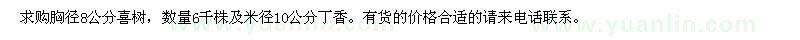 求购胸径8公分喜树，数量6千株及米径10公分丁香。