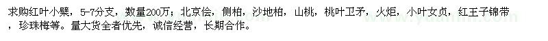 求购红叶小檗等200万