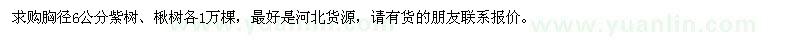 求购胸径6公分紫树、楸树各1万棵