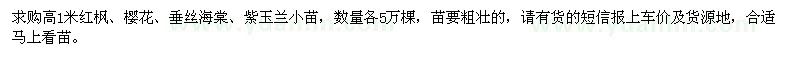 求购高1米红枫、樱花、垂丝海棠、紫玉兰小苗各5万棵