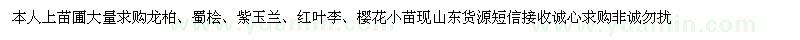 求购龙柏、蜀桧、紫玉兰、红叶李、樱花小苗