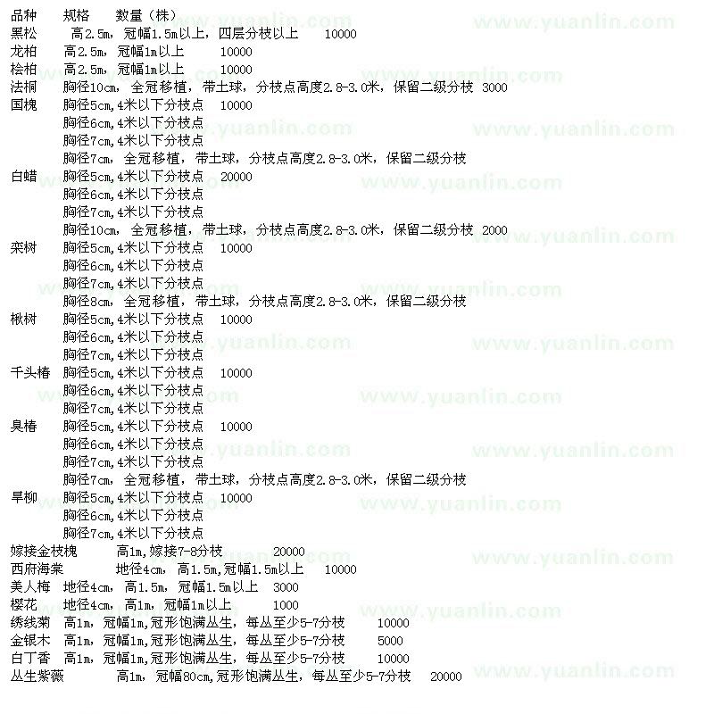 求购黑松、龙柏、桧柏、法桐、国槐、白蜡、栾树、楸树、千头椿、臭椿、旱柳等