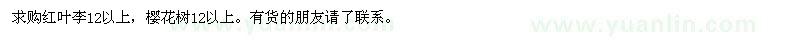 求购红叶李12以上，樱花树12以上