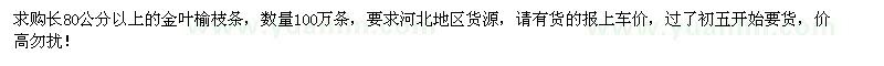 求购长80公分以上金叶榆枝条100万条