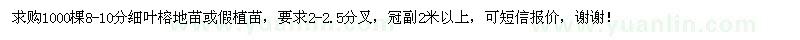 求购1000棵8-10分细叶榕