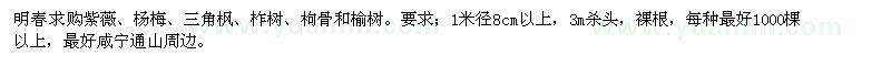 求购紫薇、杨梅、三角枫、柞树、枸骨和榆树