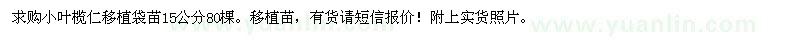 求购小叶榄仁移植袋苗15公分80棵