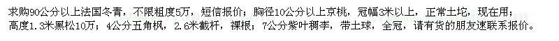 求购法国冬青、京桃、黑松、五角枫、紫叶稠李