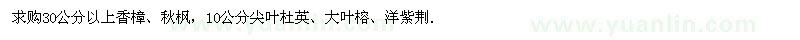 求购香樟、秋枫、尖叶杜英、大叶榕、洋紫荆