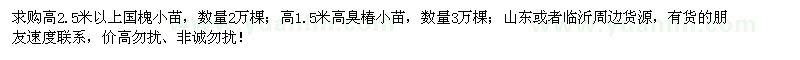 求购国槐小苗、臭椿小苗