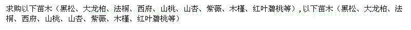 求购黑松、大龙柏、法桐、西府、山桃、山杏、紫薇、木槿、红叶碧桃等