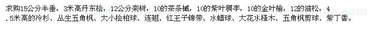 求购半垂、丹东桧、栾树、茶条槭等苗木