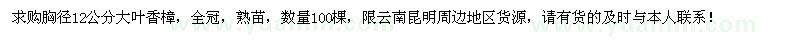 求购胸径12公分大叶香樟100棵