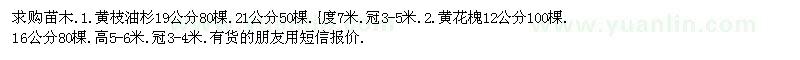 求购黄枝油杉、黄花槐