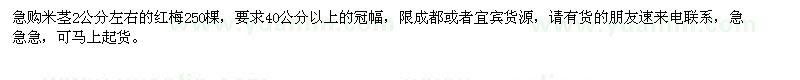 求购红梅2公分左右，要求有40以上冠幅都行