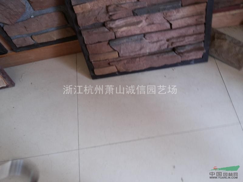 人造艺术文化石,文化砖 蘑菇石