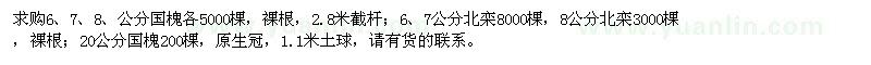 求购6、7、8公分国槐、北栾、20公分国槐